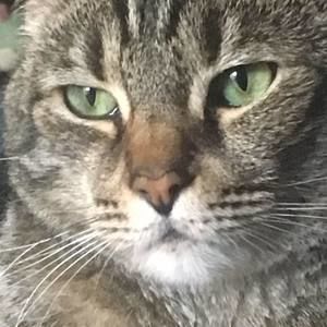 Meet your Posher, Karina